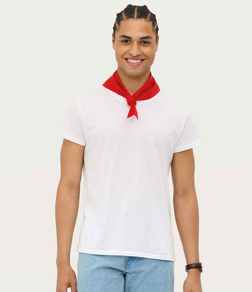 01198 Red Model